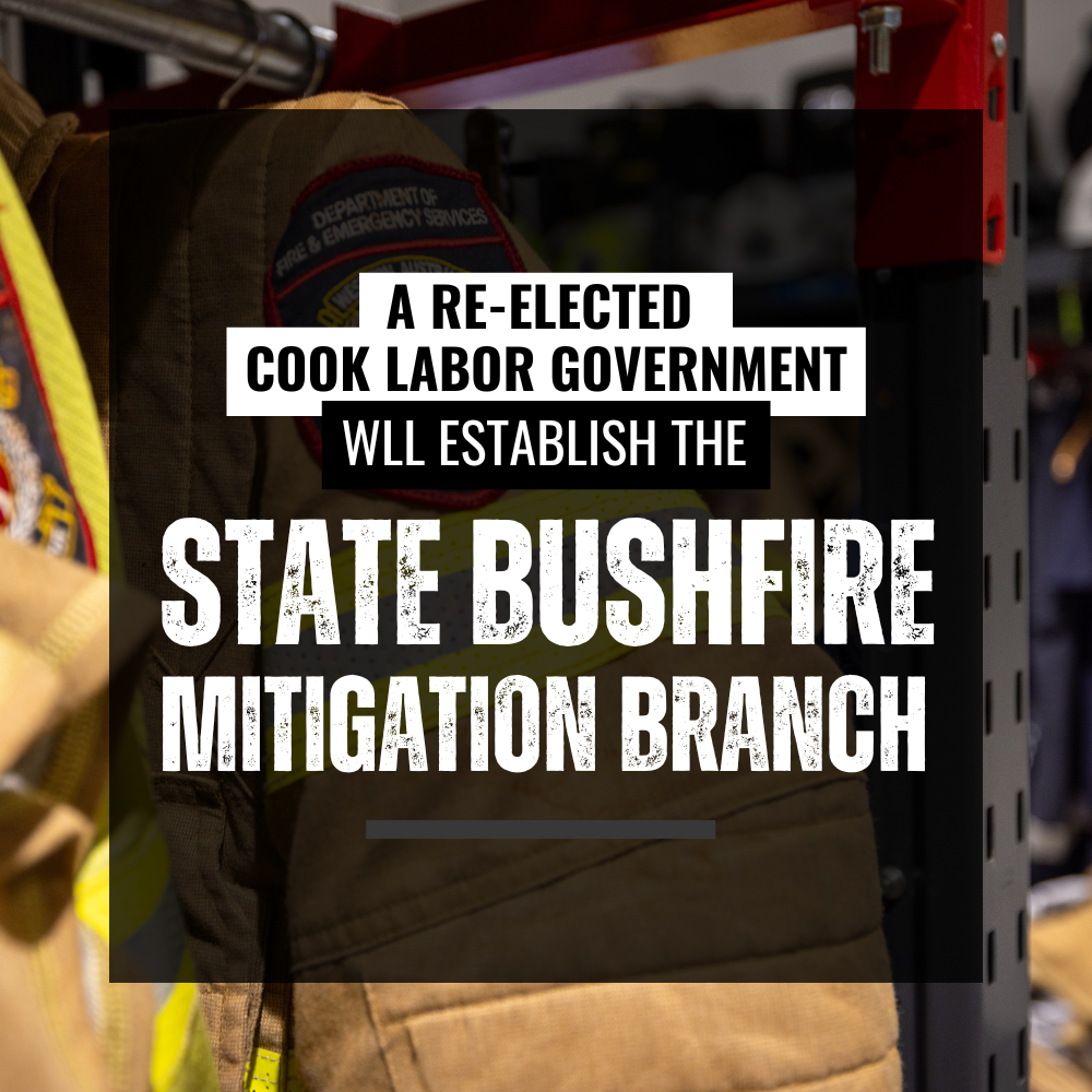 Re-elected Cook Labor Government will create a new Bushfire Mitigation Branch Main Image
